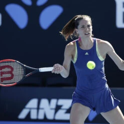 Wilson Natural Gut String Set 12,2m -Wilson Tennis Shop 02009000 62